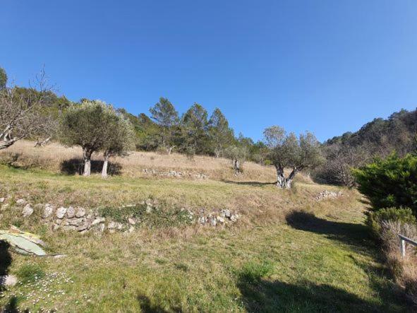 Montferrat La Ferme De Manon公寓 外观 照片