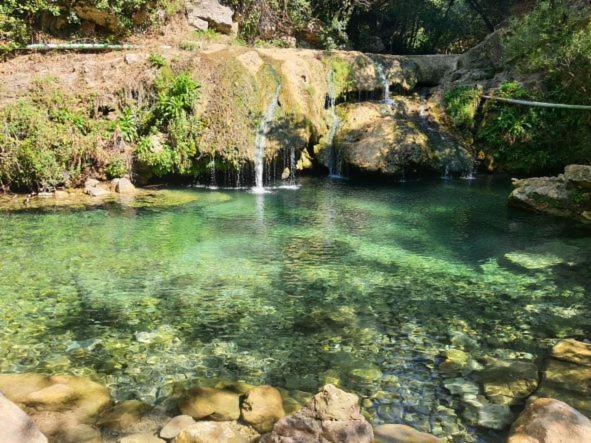 Montferrat La Ferme De Manon公寓 外观 照片
